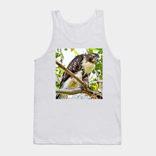 Red Tailed Hawk Tank Top